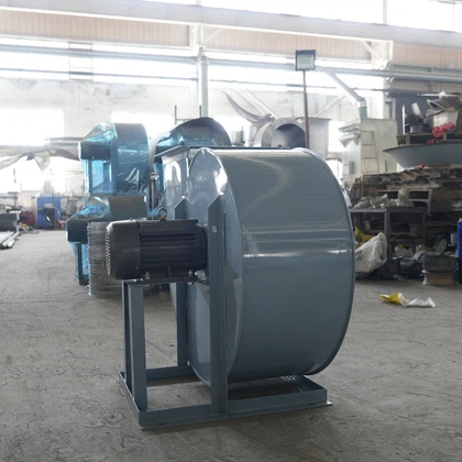 product-800-800 product-800-800